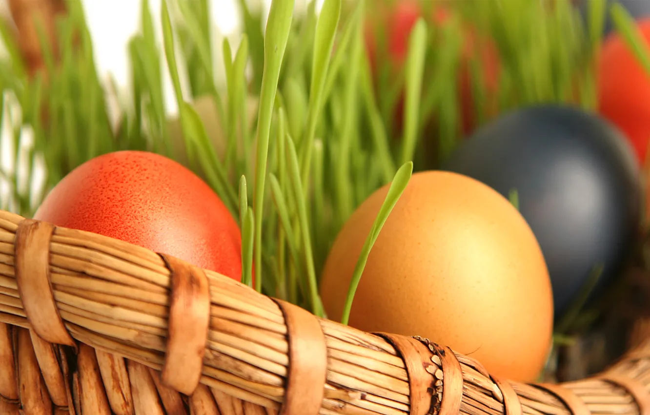 Фото обои яйца, весна, пасха, корзинка