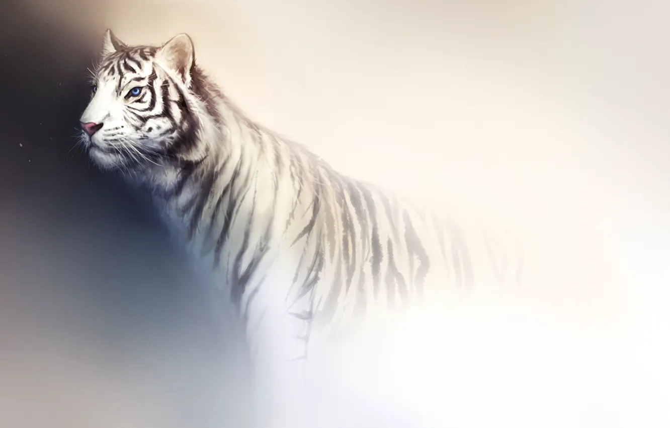 Фото обои белый, свет, тигр, фон, хищник, арт, дикая кошка