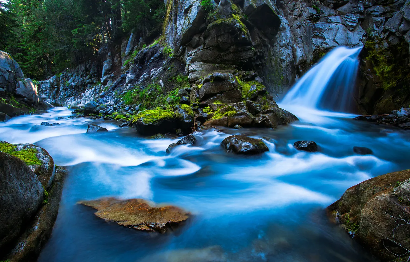 Фото обои лес, деревья, река, ручей, камни, водопад, Waterfall, Rainier National Park
