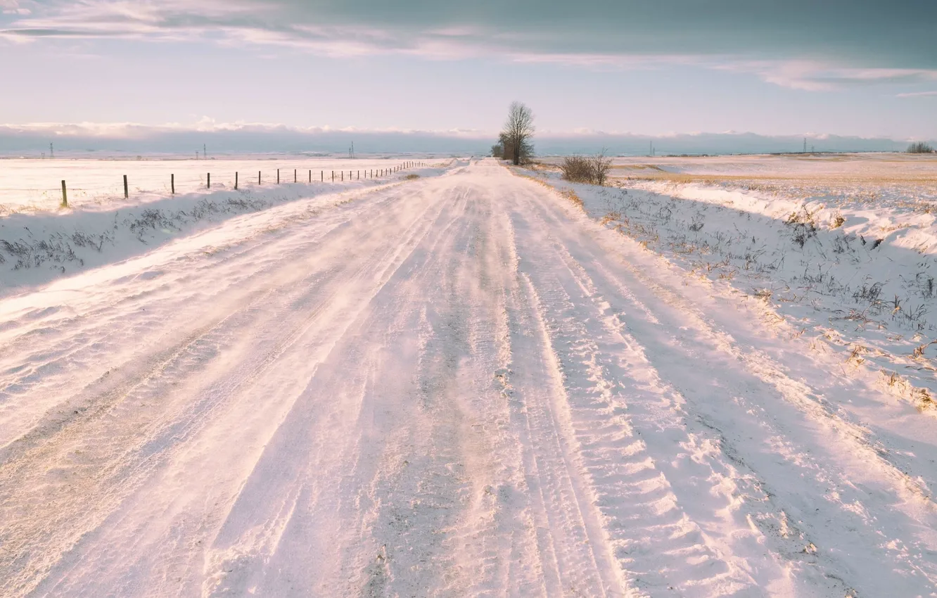 Фото обои зима, дорога, поле, снег, природа, забор