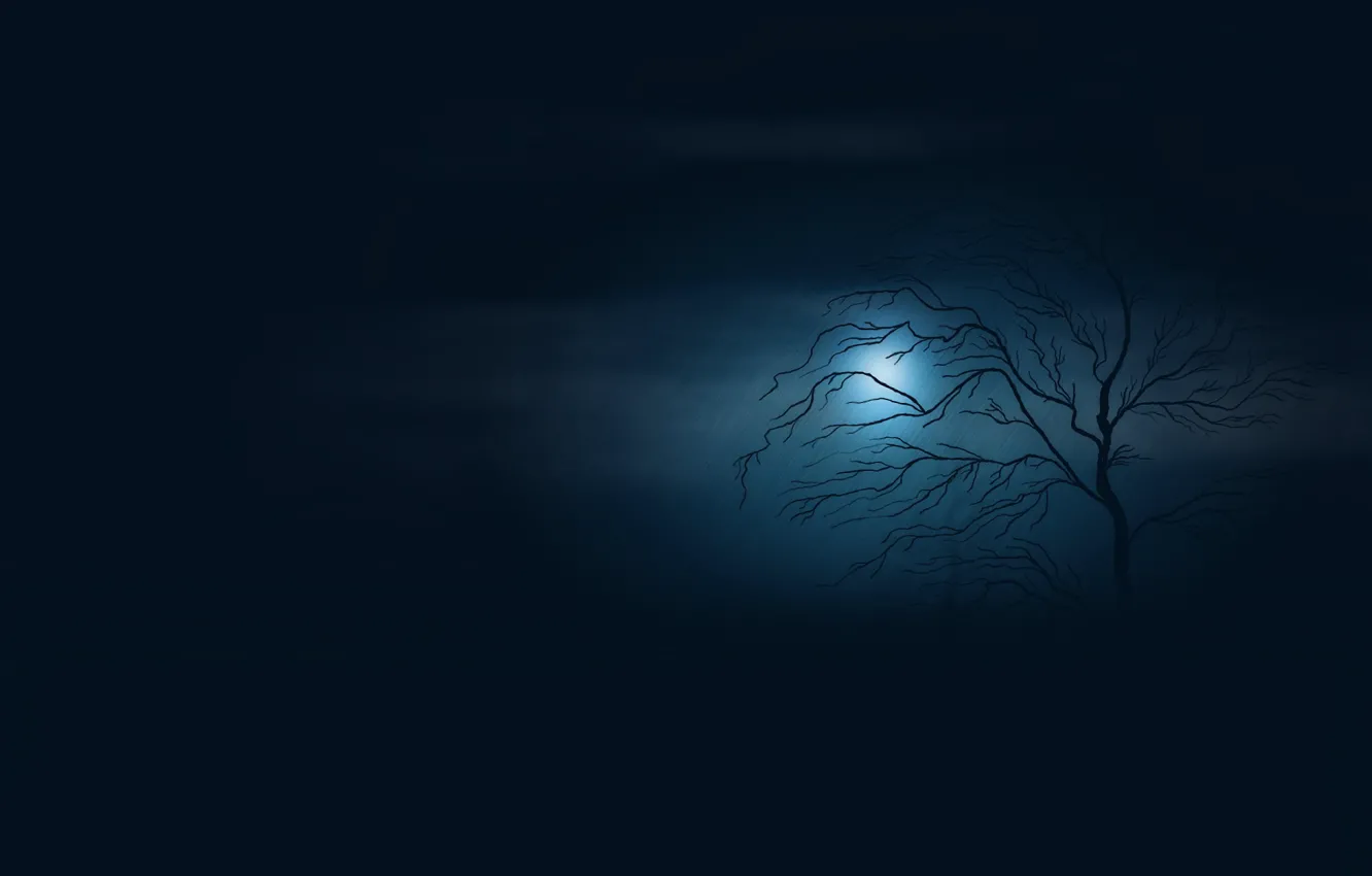 Фото обои пустота, ночь, туман, сумрак, одинокое дерево, ливень, полная луна, в темноте
