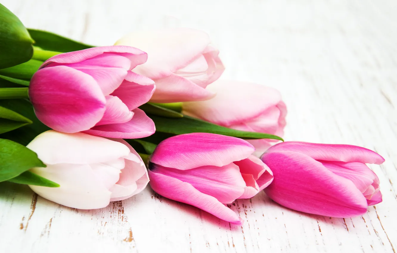 Фото обои букет, тюльпаны, розовые, бутоны, Olena Rudo