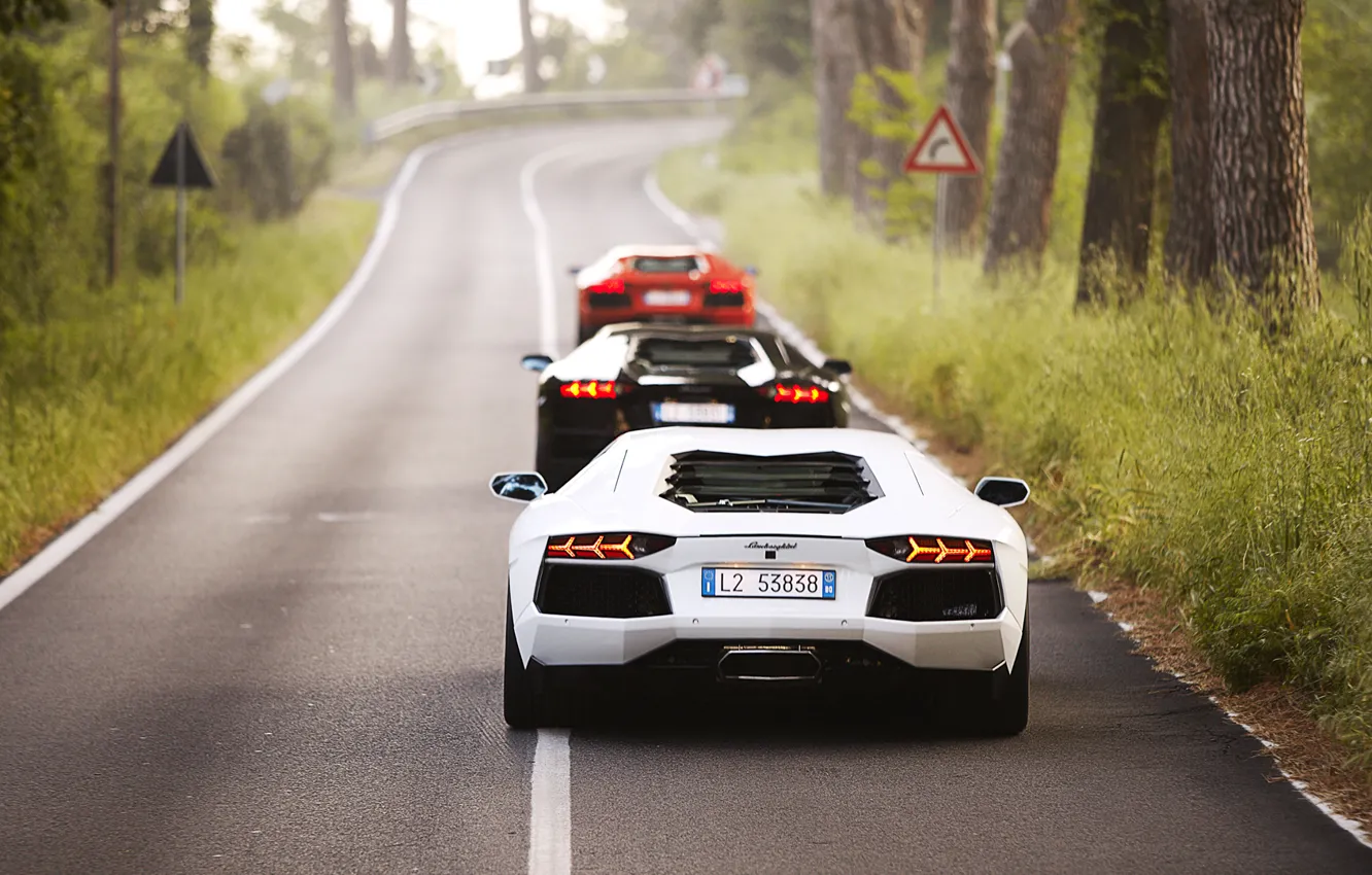 Фото обои red, white, black, road, trees, three, lp700-4, Lamborghini Aventador