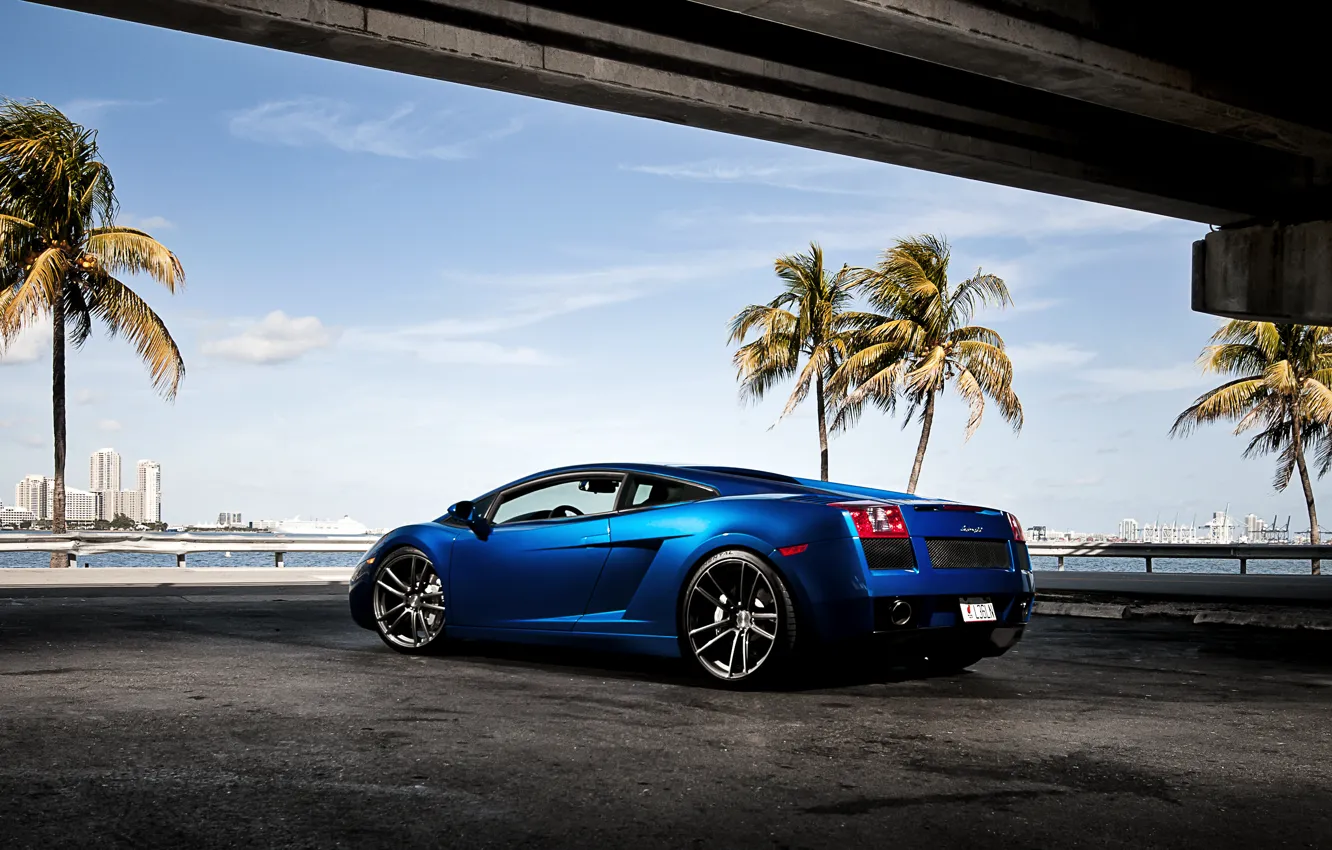 Фото обои небо, синий, пальмы, Lamborghini, Gallardo, небоскрёбы, ламборджини, blue