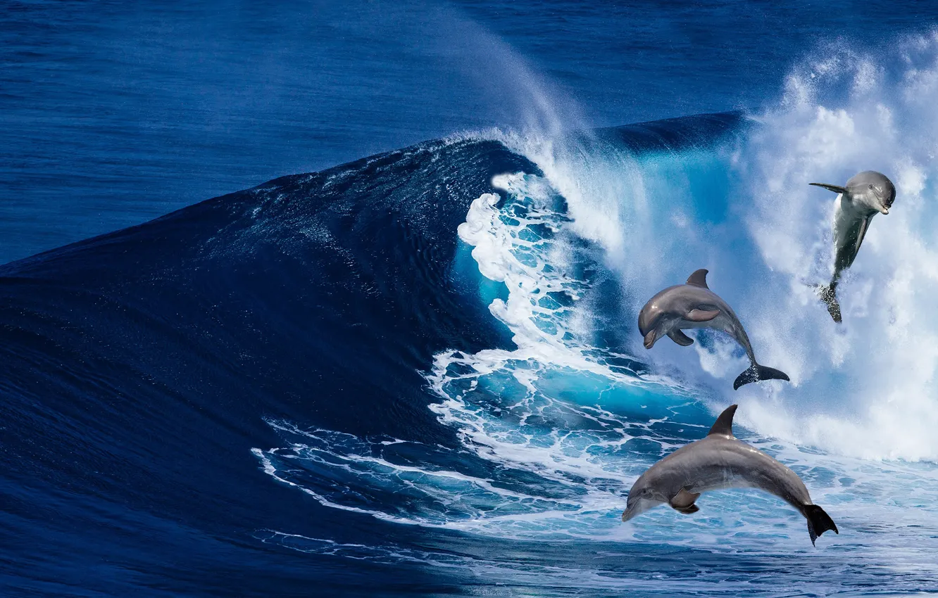 Фото обои море, волны, рендеринг, дельфины
