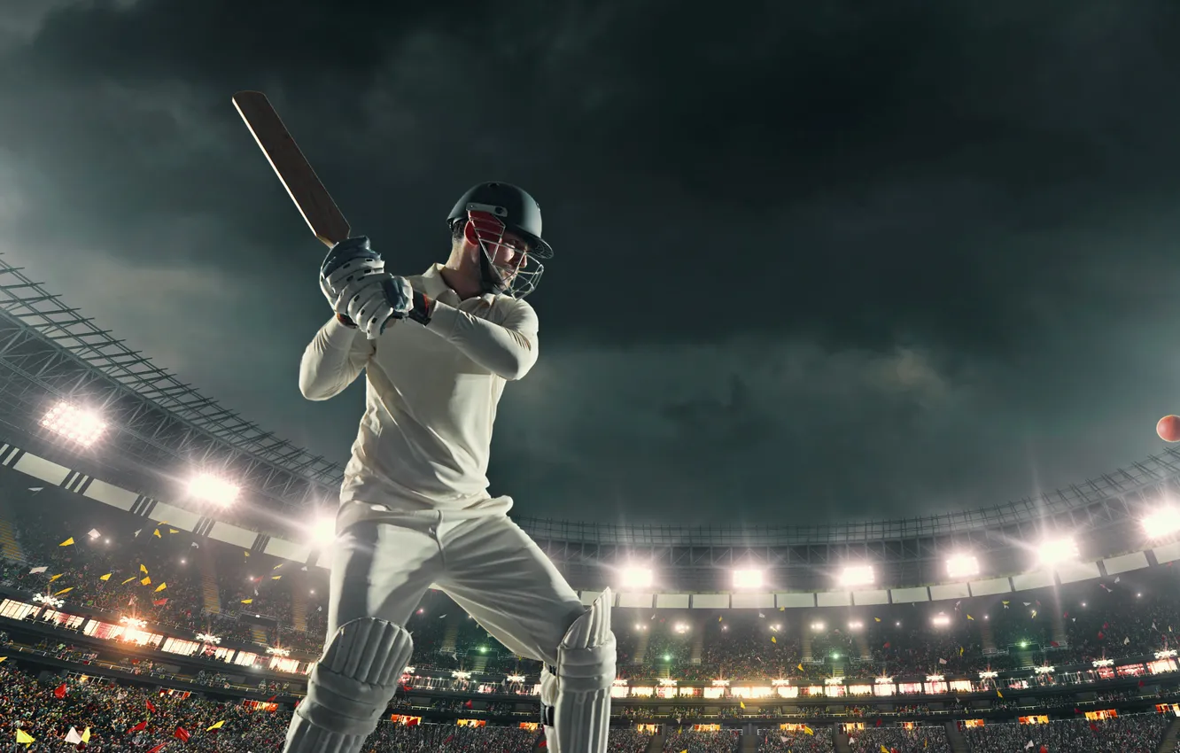 Фото обои field, cricket ball, cricket field, cricket player, cricketer, cricket bat