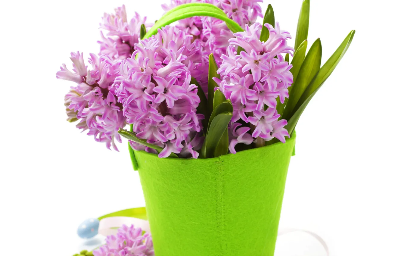 Фото обои цветы, фон, ваза сумочка, фиолетовые Гиацинты