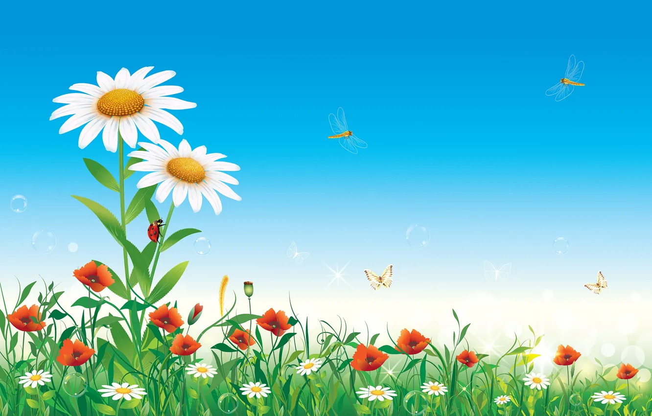 Фото обои лето, небо, цветы, насекомые, природа, ромашки, вектор