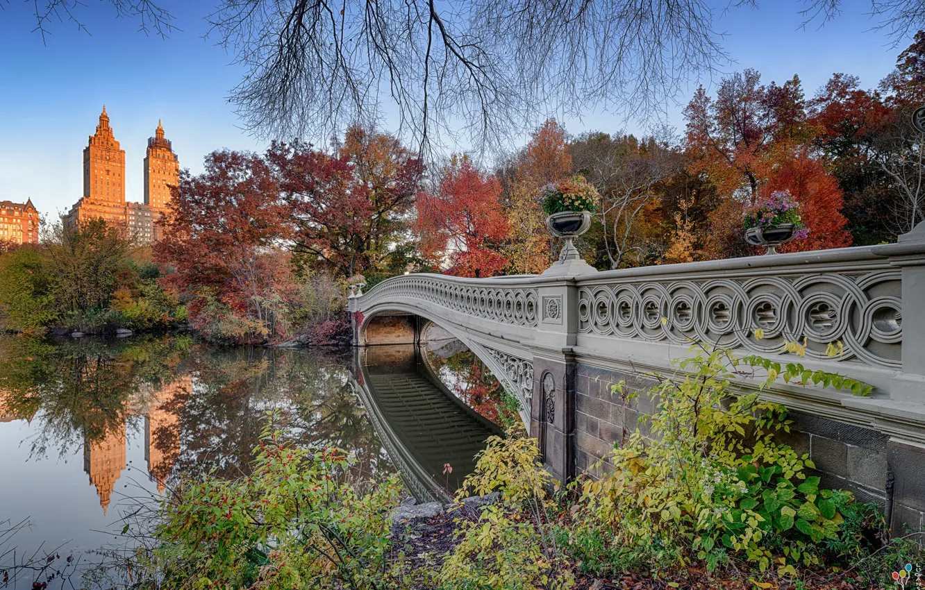 Фото обои осень, пейзаж, природа, город, пруд, парк, Нью-Йорк, США