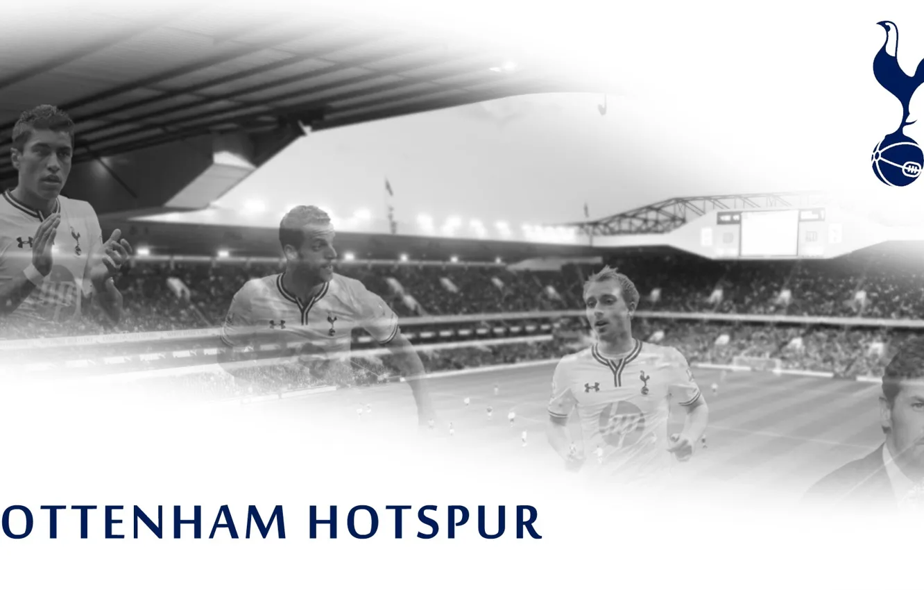 Фото обои wallpaper, sport, logo, stadium, football, England, Tottenham Hotspur, White Hart Lane