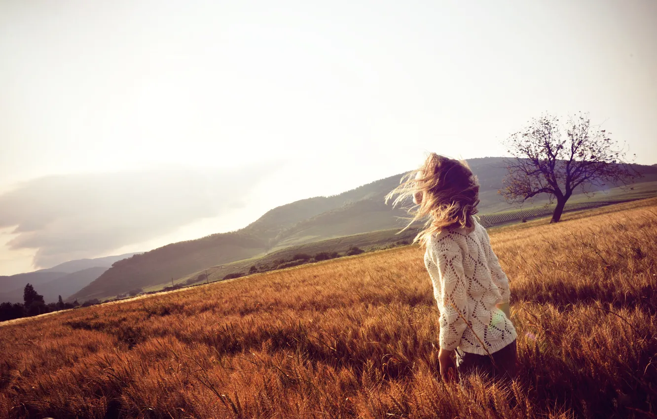 Фото обои поле, девушка, ветер, волосы, колоски