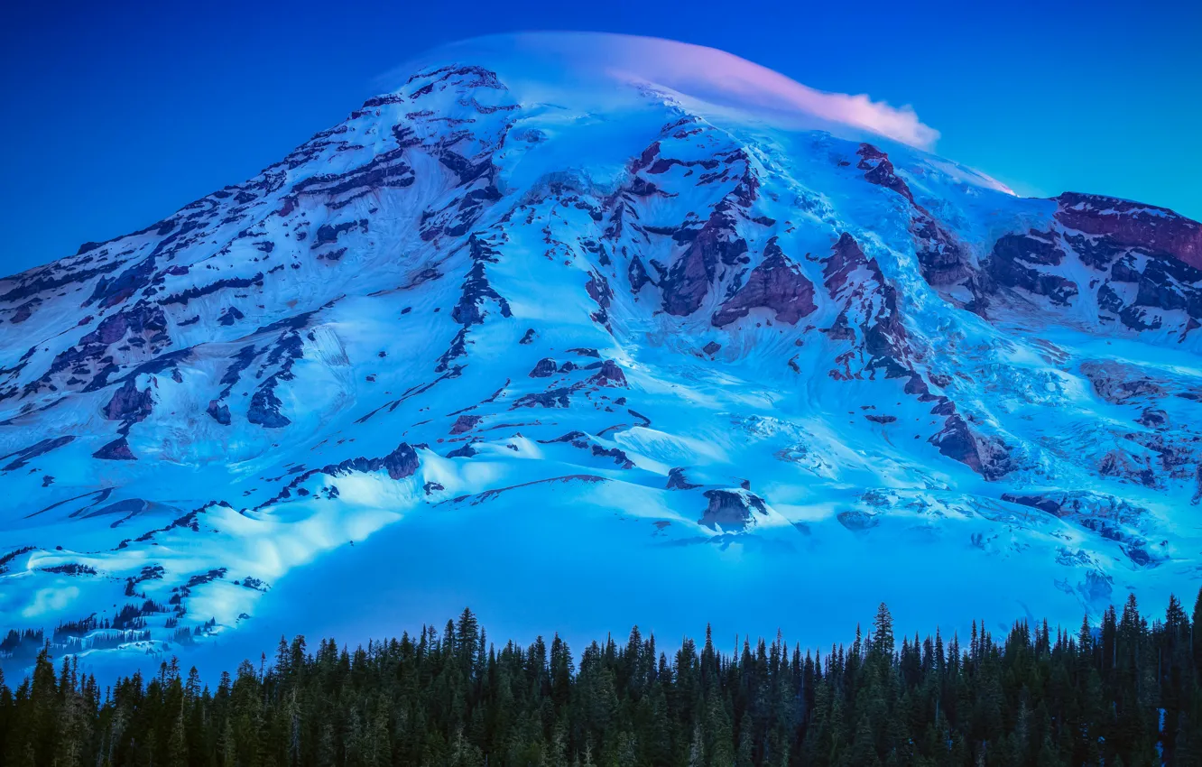 Фото обои USA, United States, trees, mountain, snow, sunrise, Washington, Seattle