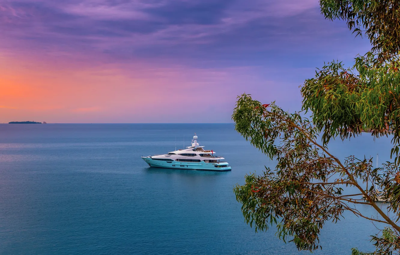 Фото обои море, закат, ветки, дерево, Франция, яхта, горизонт, France