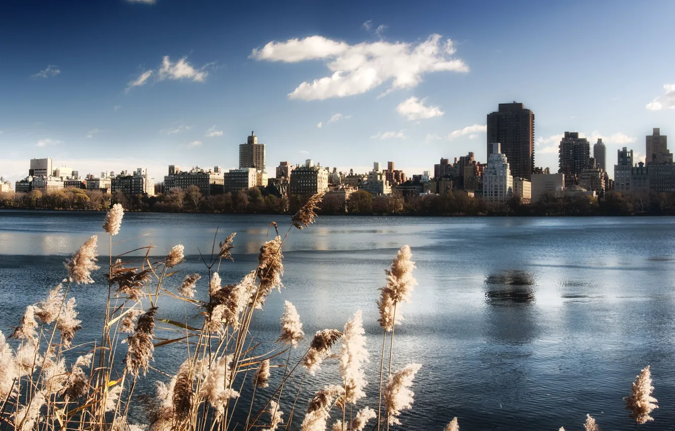 Фото обои небо, вода, озеро, здания, нью-йорк, сша, центральный парк
