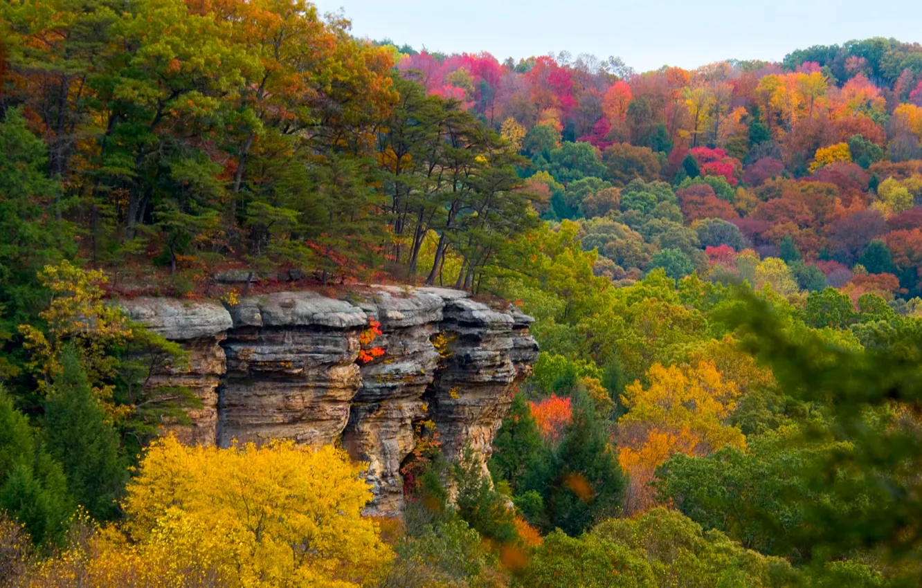 Фото обои осень, лес, пейзаж, скала, обрыв, плато, багрянец