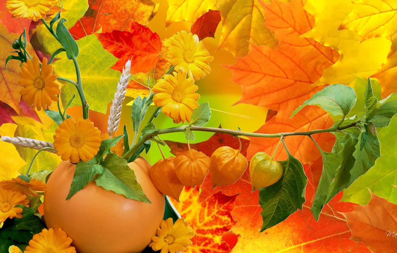Фото обои осень, листья, цветы, коллаж, тыква