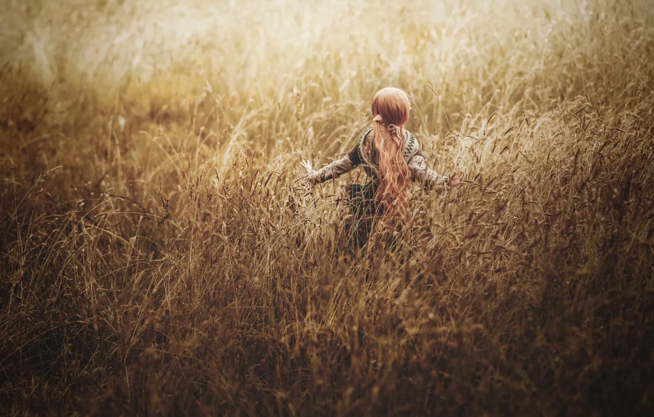 Фото обои поле, трава, кукла