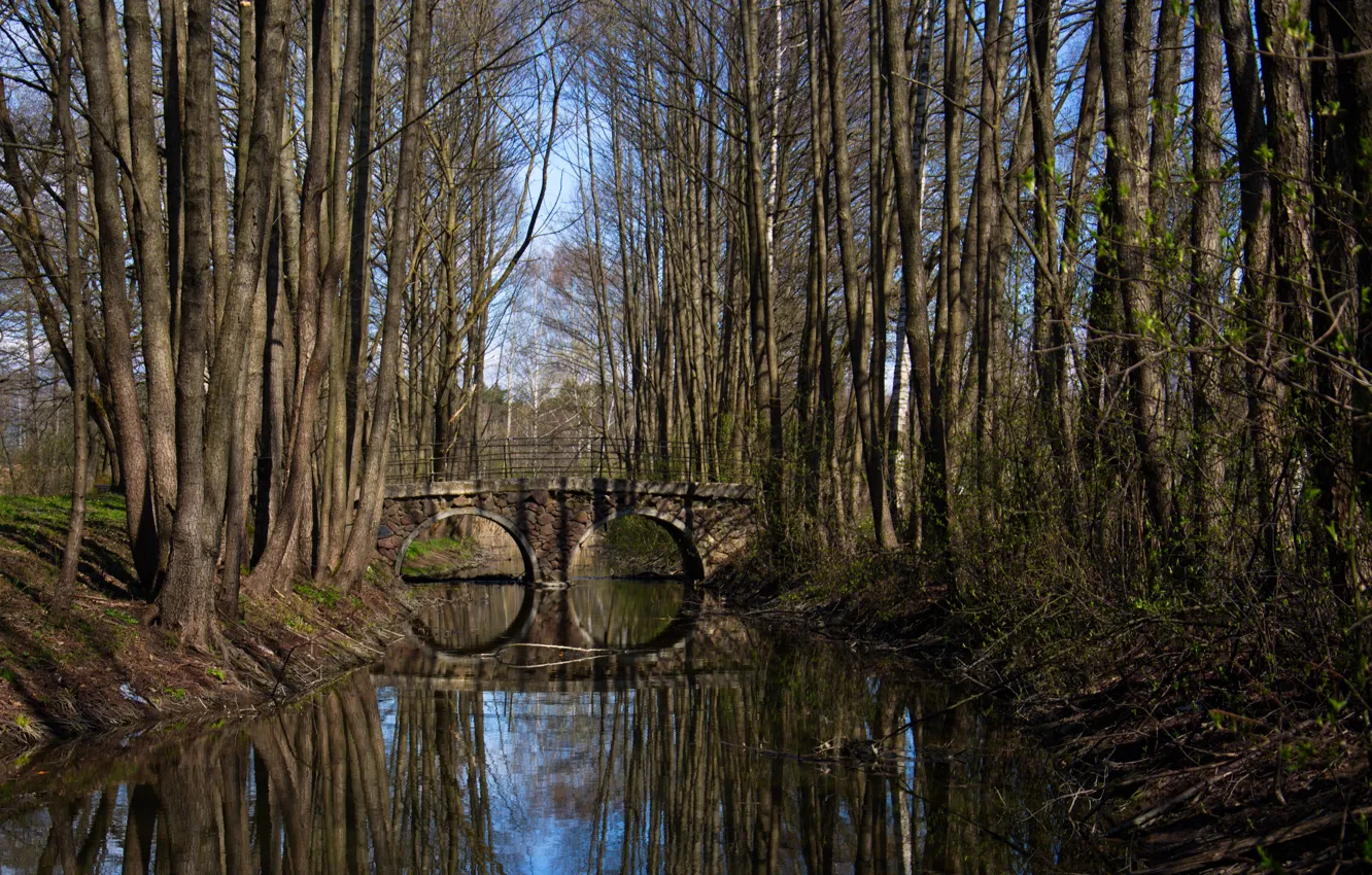 Фото обои отражение, речка, мостик