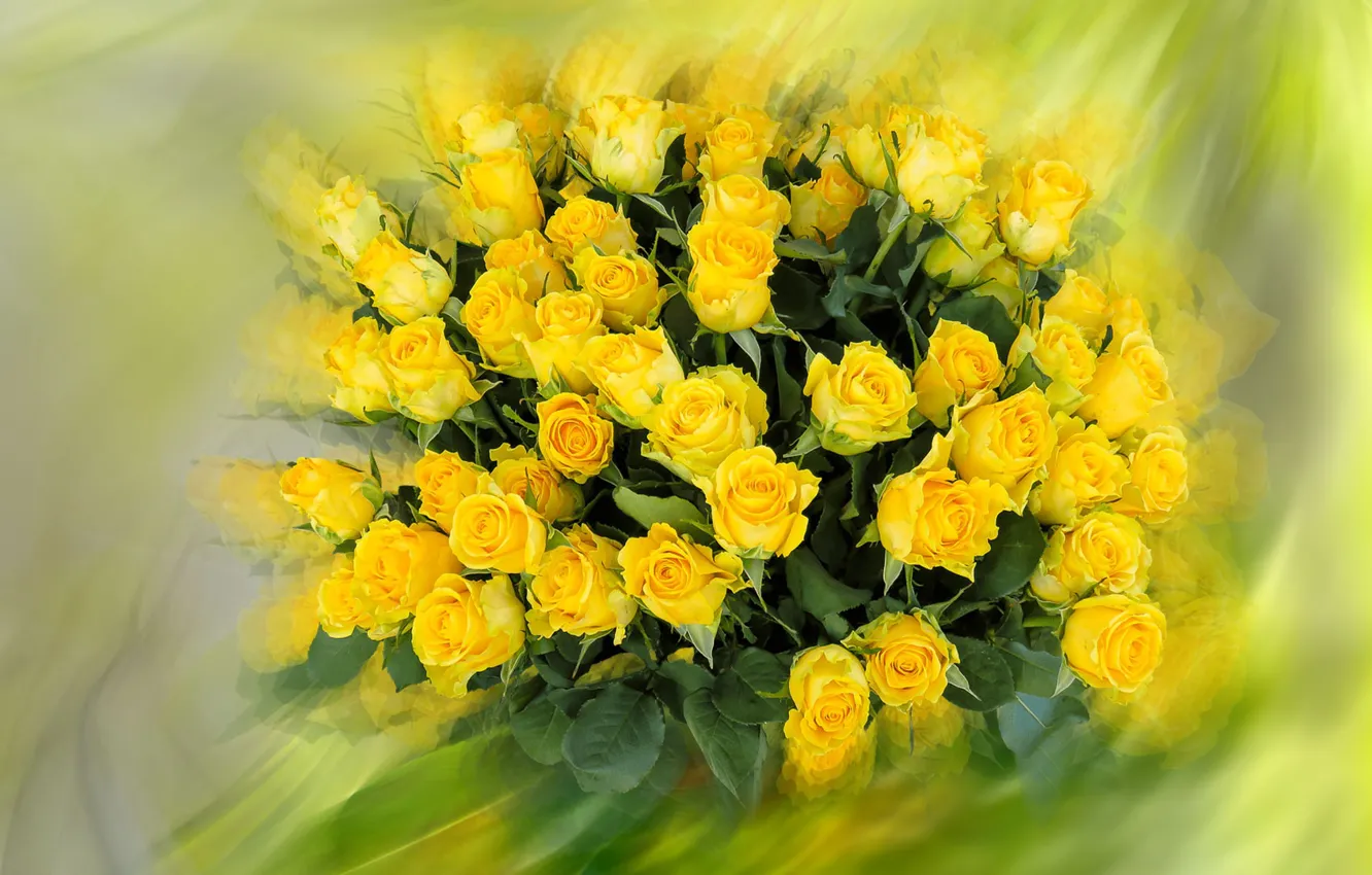 Фото обои Róże, Bukiet, Żółte kwiaty
