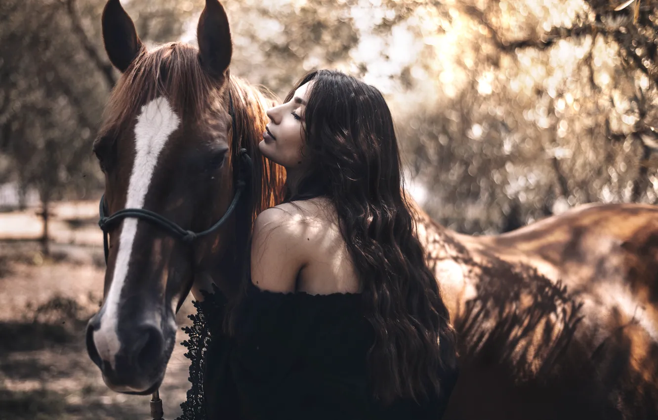Фото обои девушка, лошадь, боке