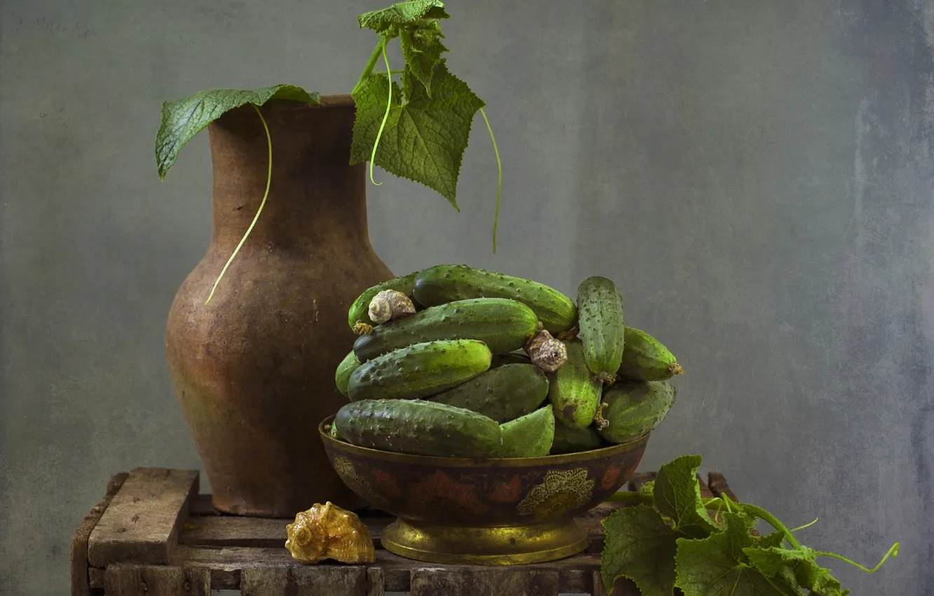 Фото обои текстура, ракушки, кувшин, натюрморт, огурцы, овощ