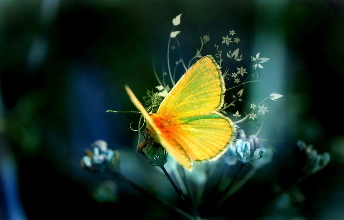 Фото обои Бабочка, Узор, Желтая