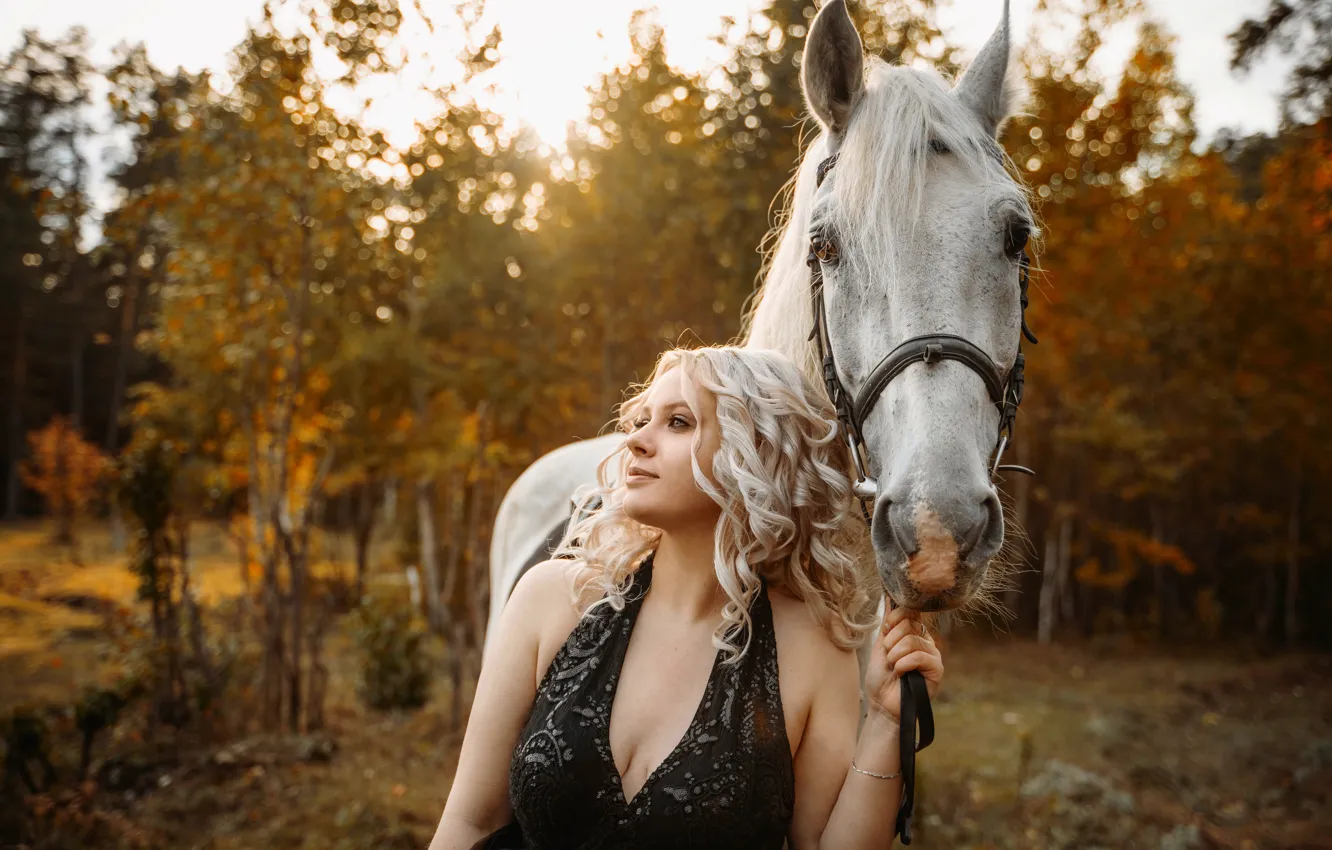 Фото обои осень, девушка, закат, платье, листопад, белый конь, солнеце
