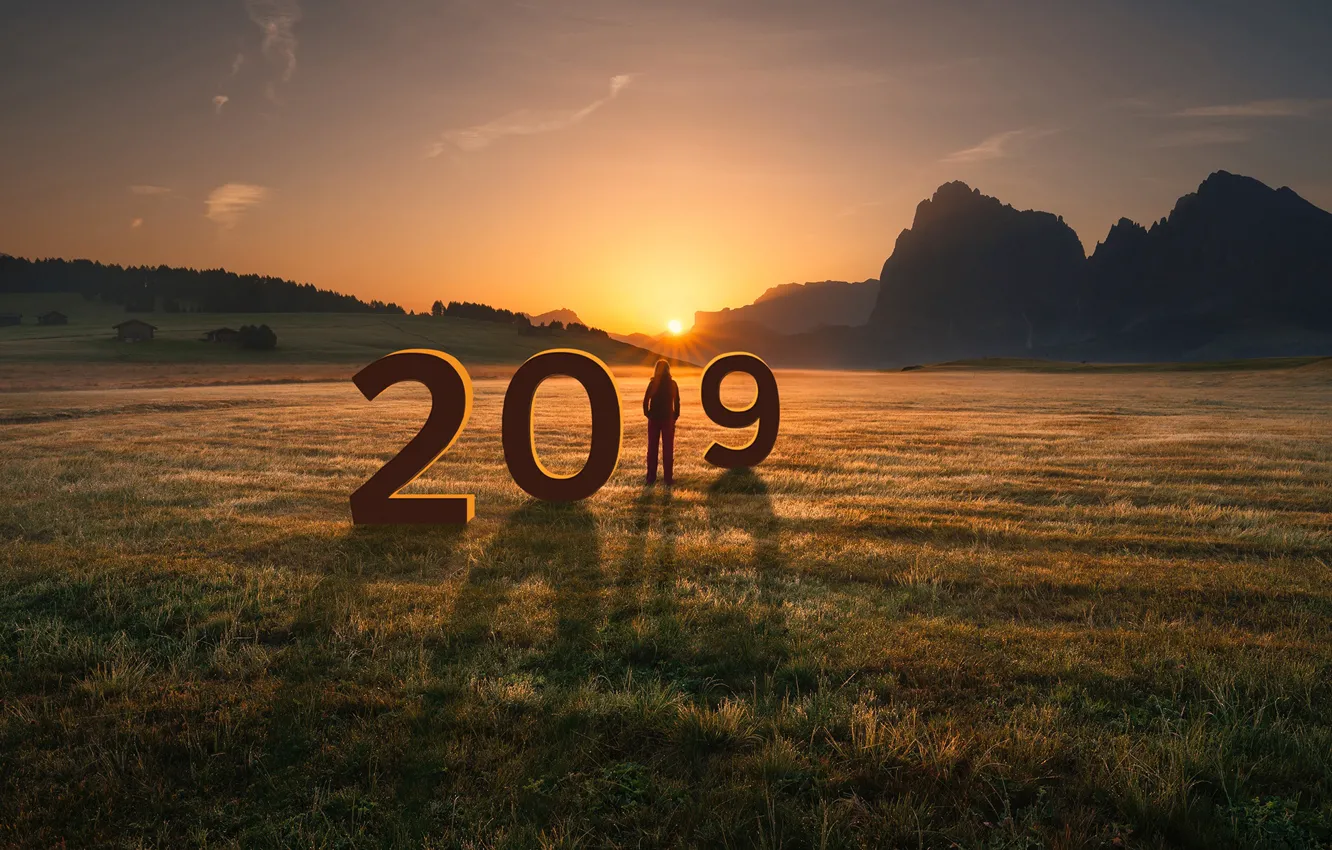 Фото обои поле, солнце, Новый год, 2019