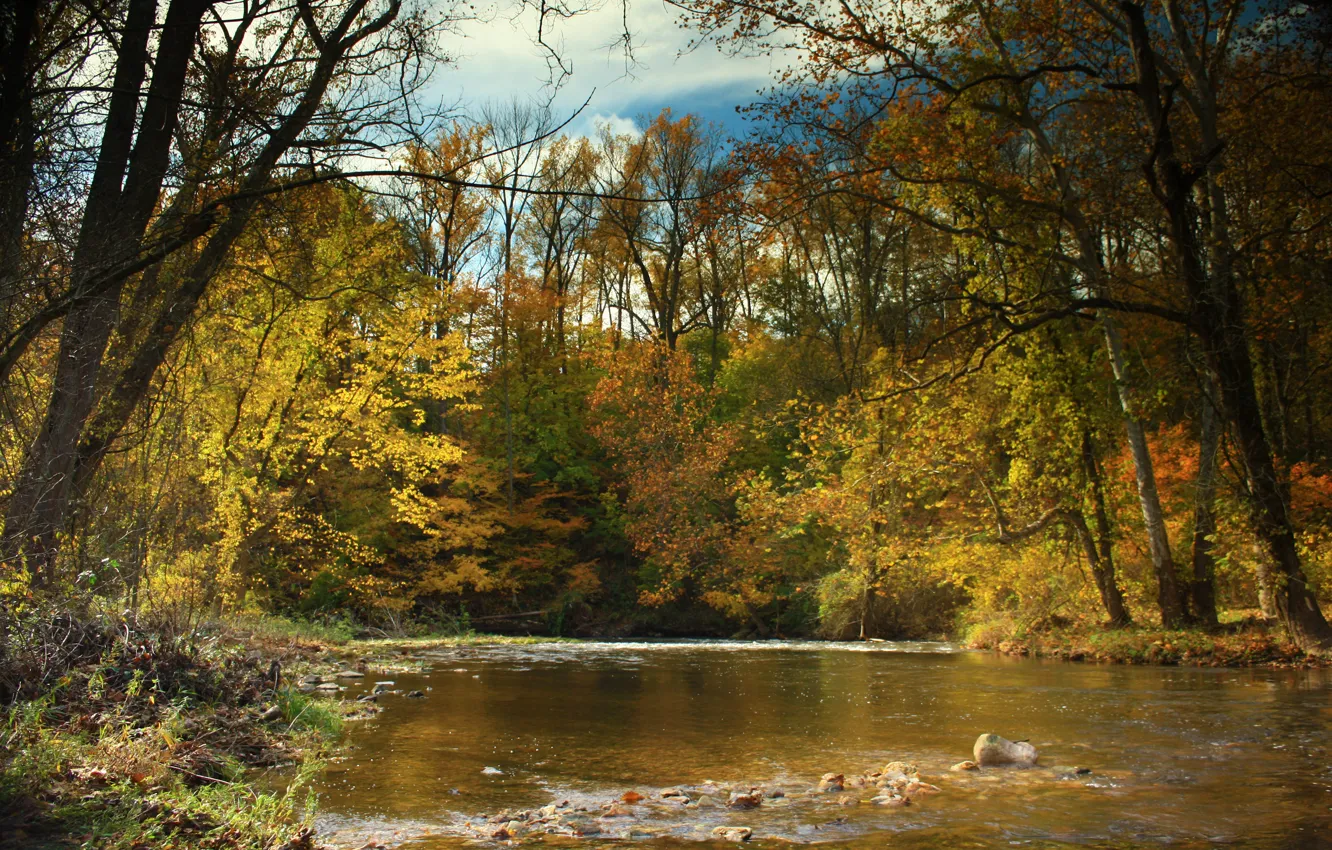 Фото обои осень, лес, небо, листья, деревья, река, Природа, colorful