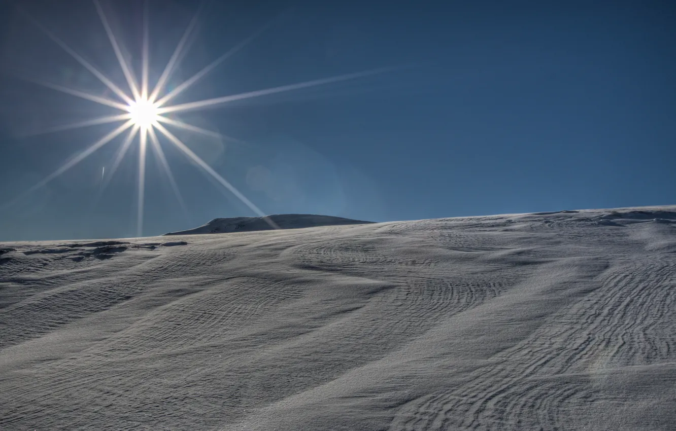 Фото обои зима, солнце, лучи, снег, пейзаж, фон, widescreen, обои