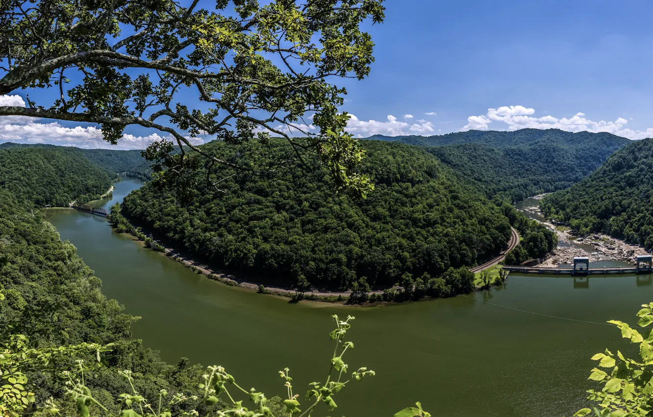 Фото обои лес, река, панорама, мосты, New River Gorge, West Virginia, Западная Виргиния, Нью-Ривер