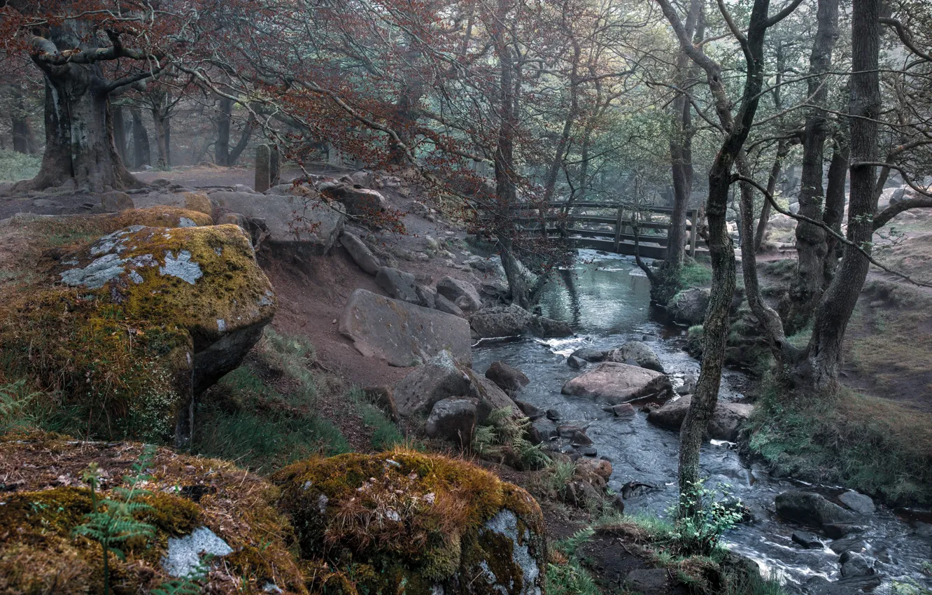 Фото обои мост, природа, парк, речка, England, Derbyshire Dales District, Grindleford