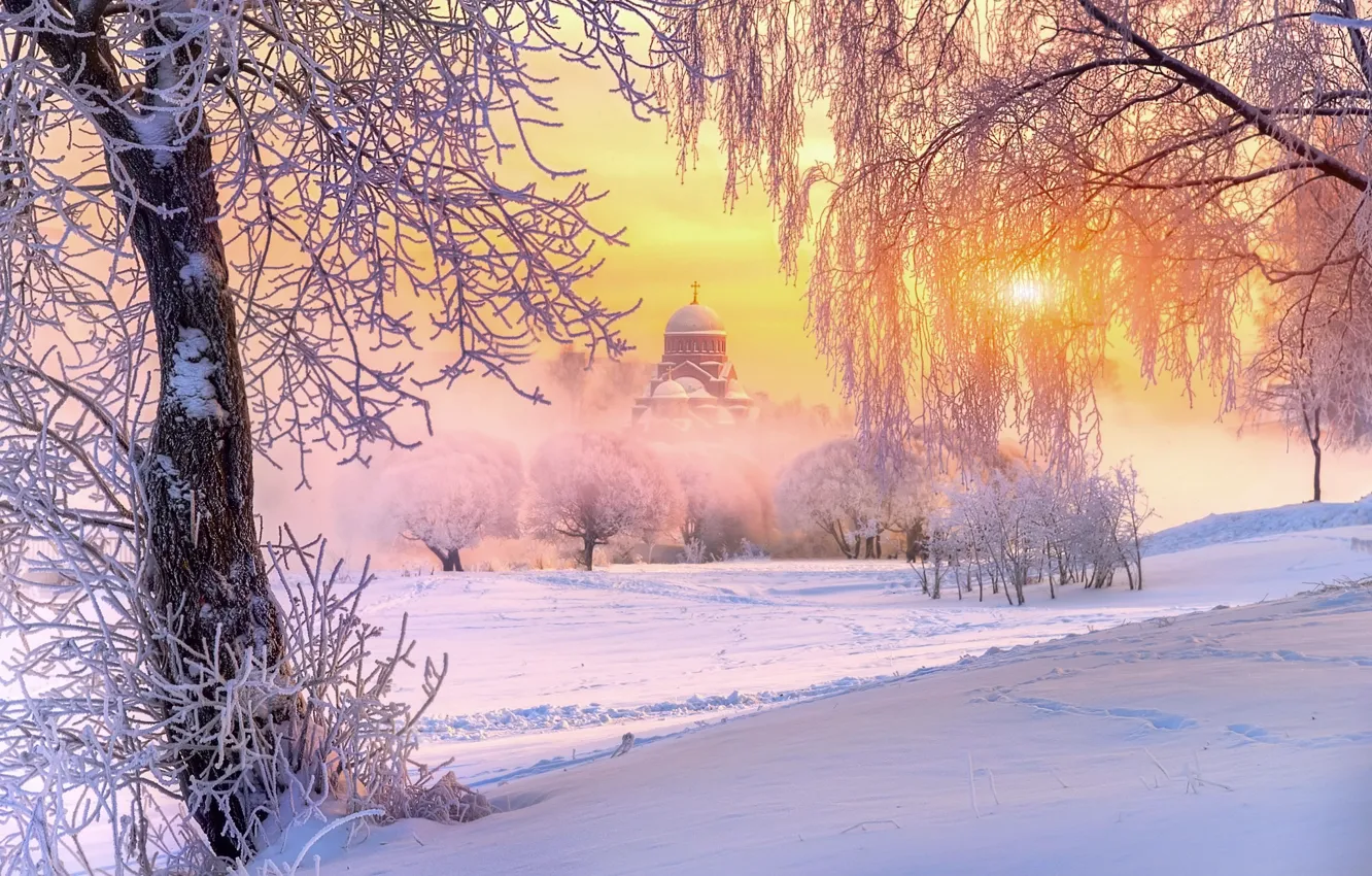 Фото обои зима, иней, солнце, свет, снег, деревья, природа, храм