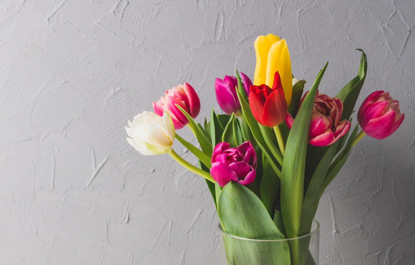 Фото обои цветы, яркие, букет, весна, colorful, тюльпаны, fresh, flowers