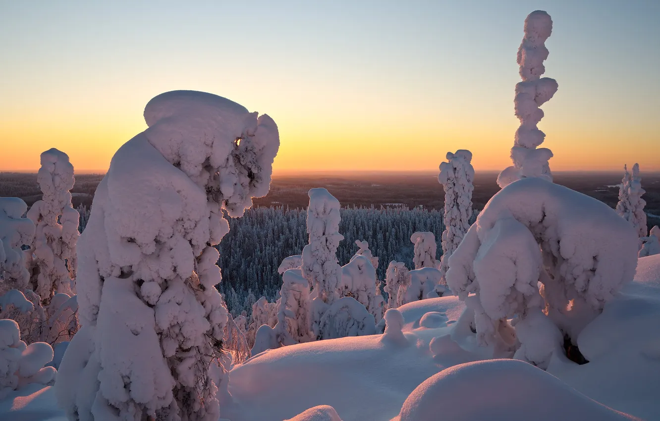 Фото обои зима, лес, небо, снег, деревья, природа, в снегу, даль