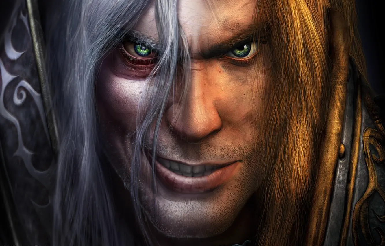 Фото обои Lich King, Warcraft, Blizzard, Артас, Arthas Menethil, Артас Менетил, Warcraft III: Reign of Chaos, Warcraft …