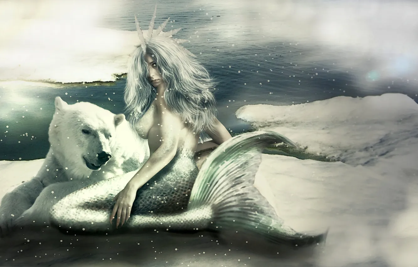 Фото обои холод, взгляд, снег, фантастика, русалка, арт, хвост, белый медведь