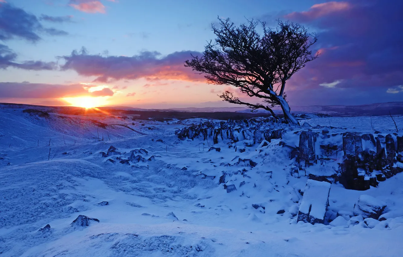 Фото обои зима, снег, горы, восход, дерево, рассвет, Англия, England