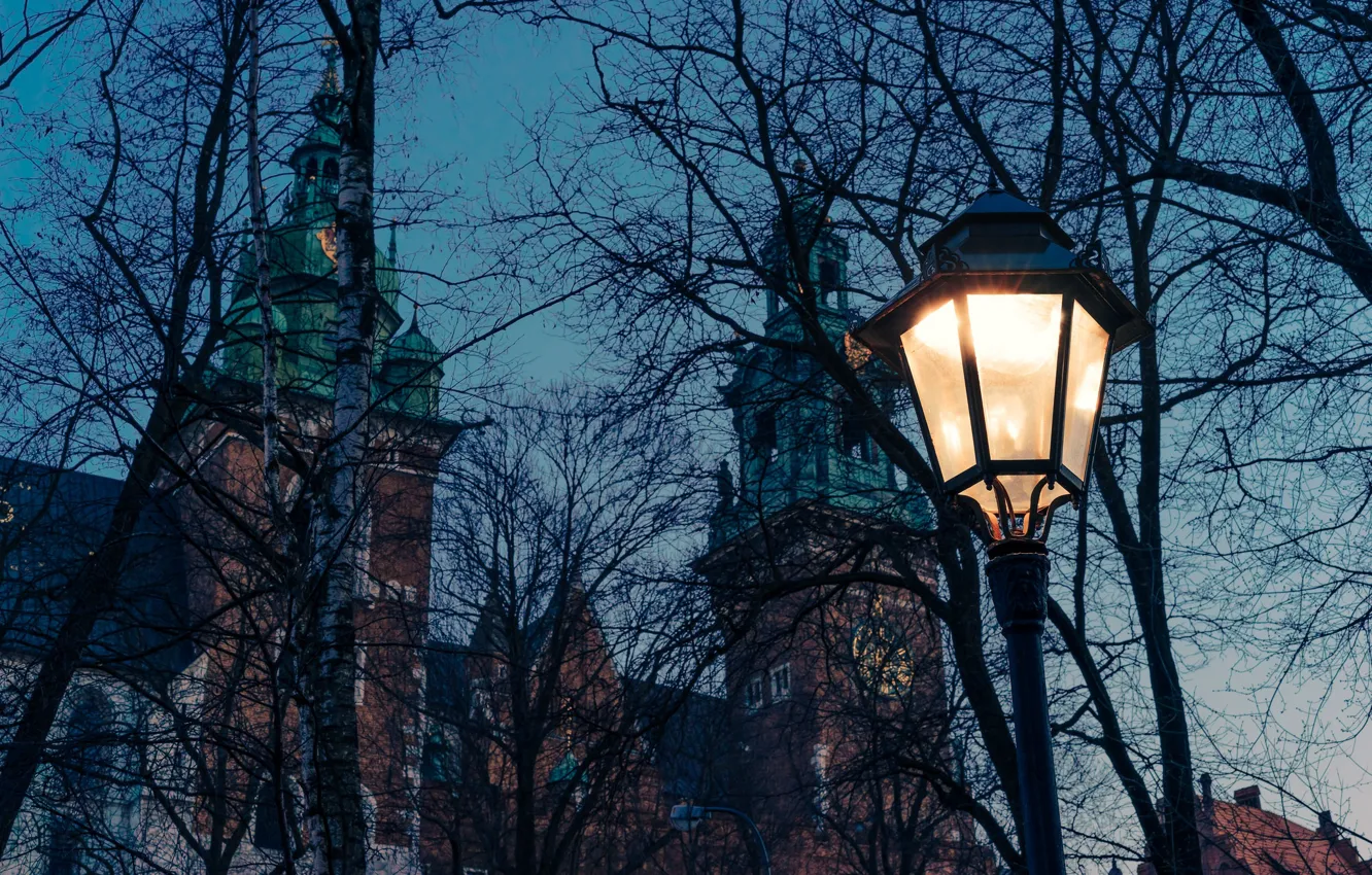 Фото обои twilight, cathedral, trees, dusk, Poland, lamp, branches, church