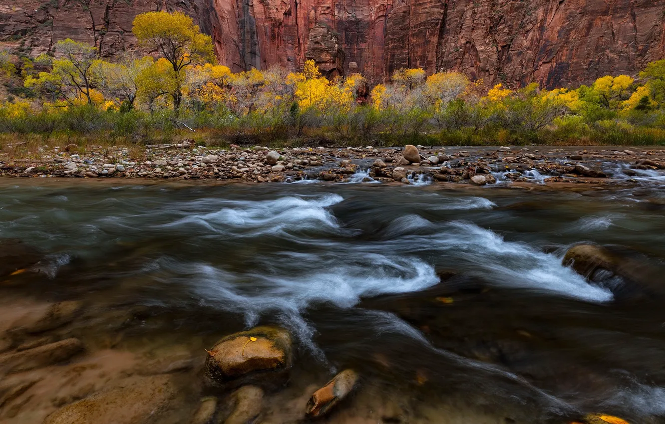Фото обои осень, деревья, природа, река, скалы, поток, США