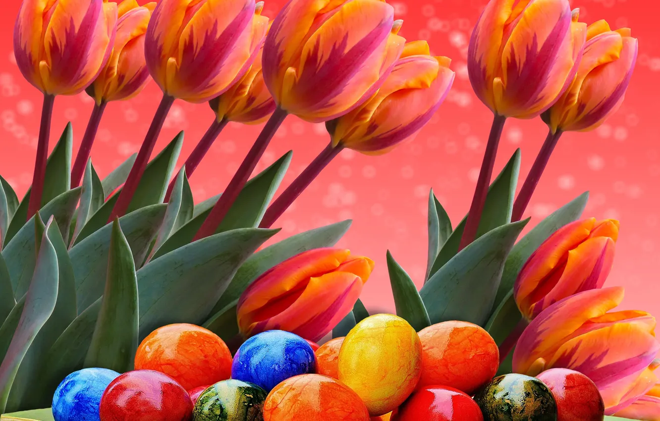 Фото обои Пасха, тюльпаны, крашенки, светлый праздник
