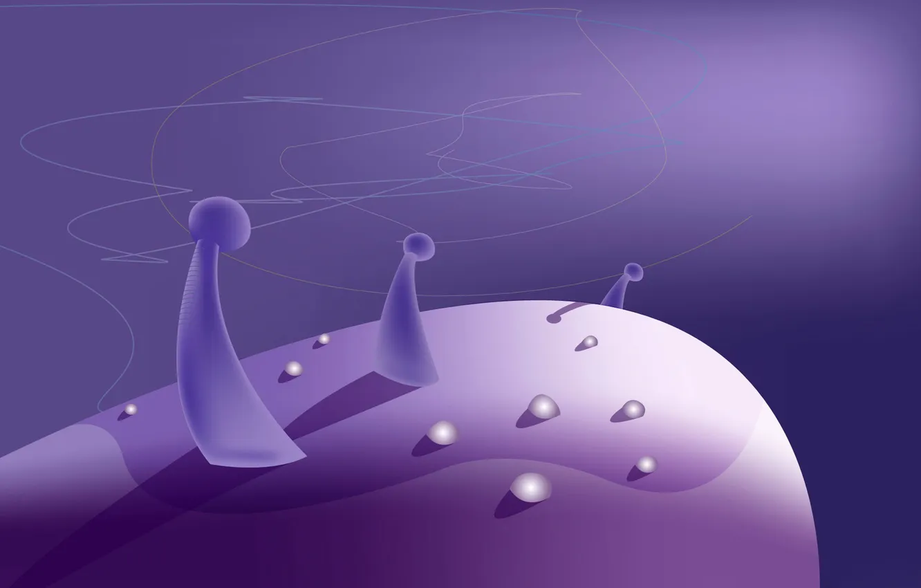 Фото обои небо, свет, деревья, тень