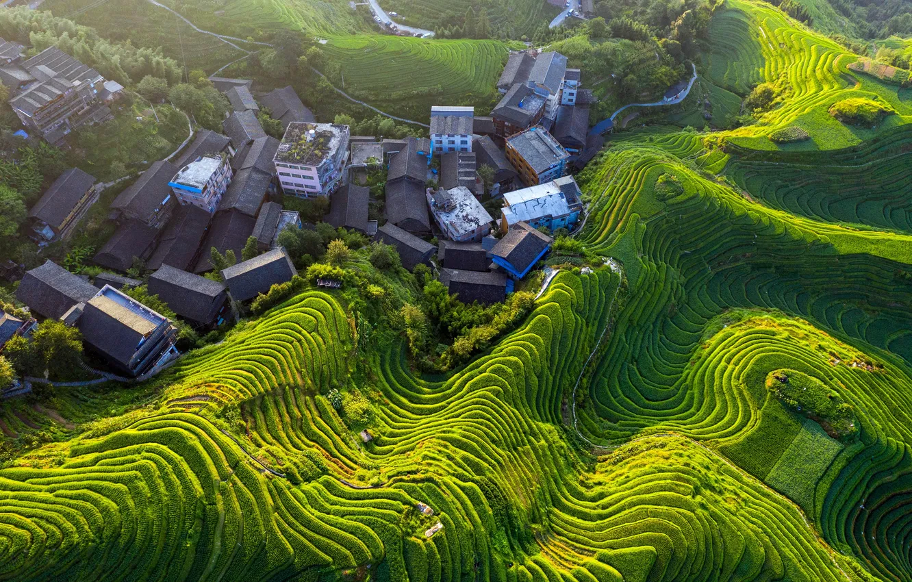 Фото обои China, Горы, Китай, Вид сверху, Guilin, Терассы, Longji Terraces