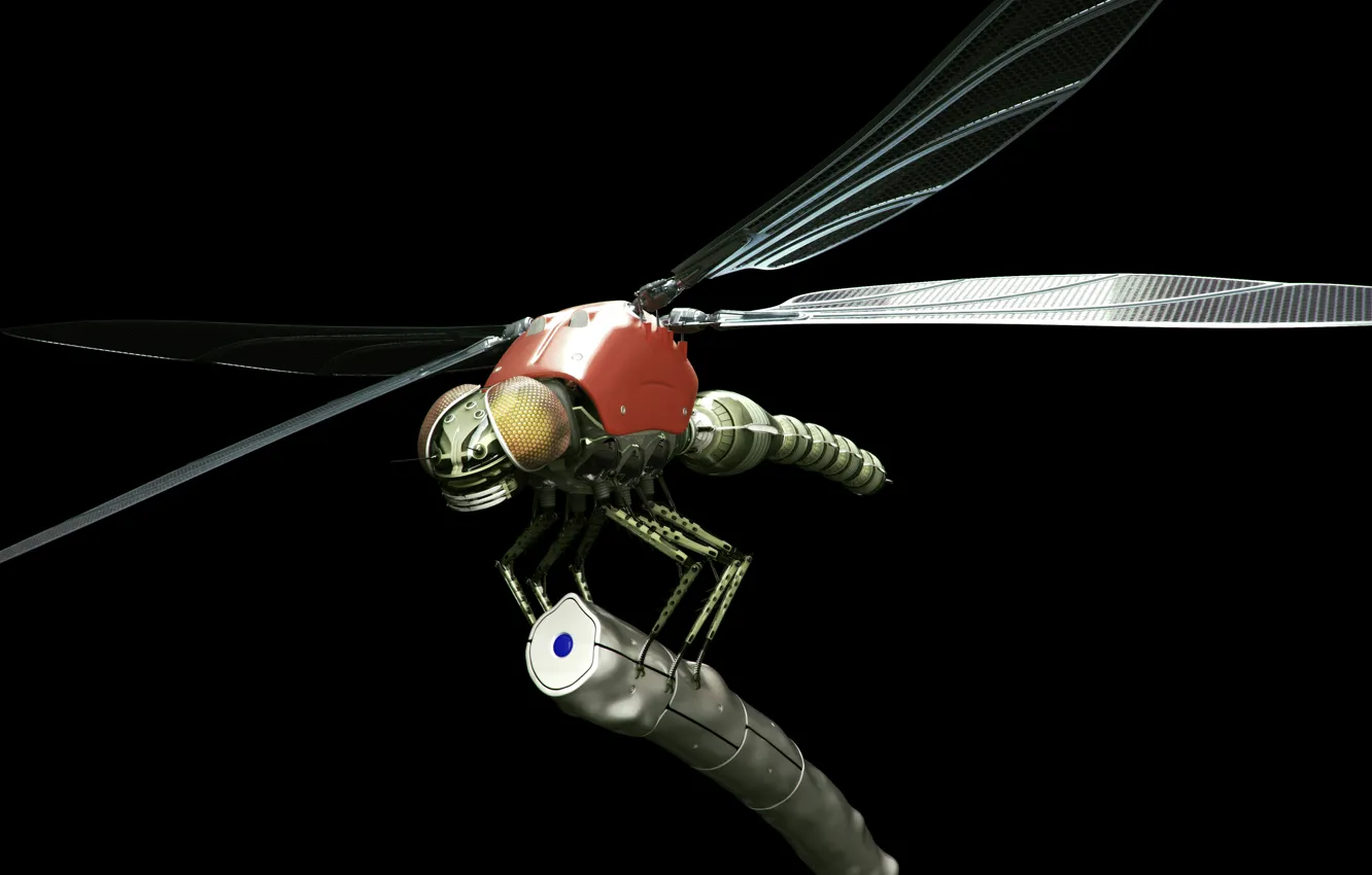 Фото обои робот, стрекоза, dragonfly