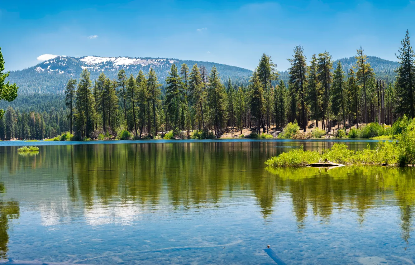 Фото обои зелень, лес, небо, солнце, деревья, горы, озеро, США