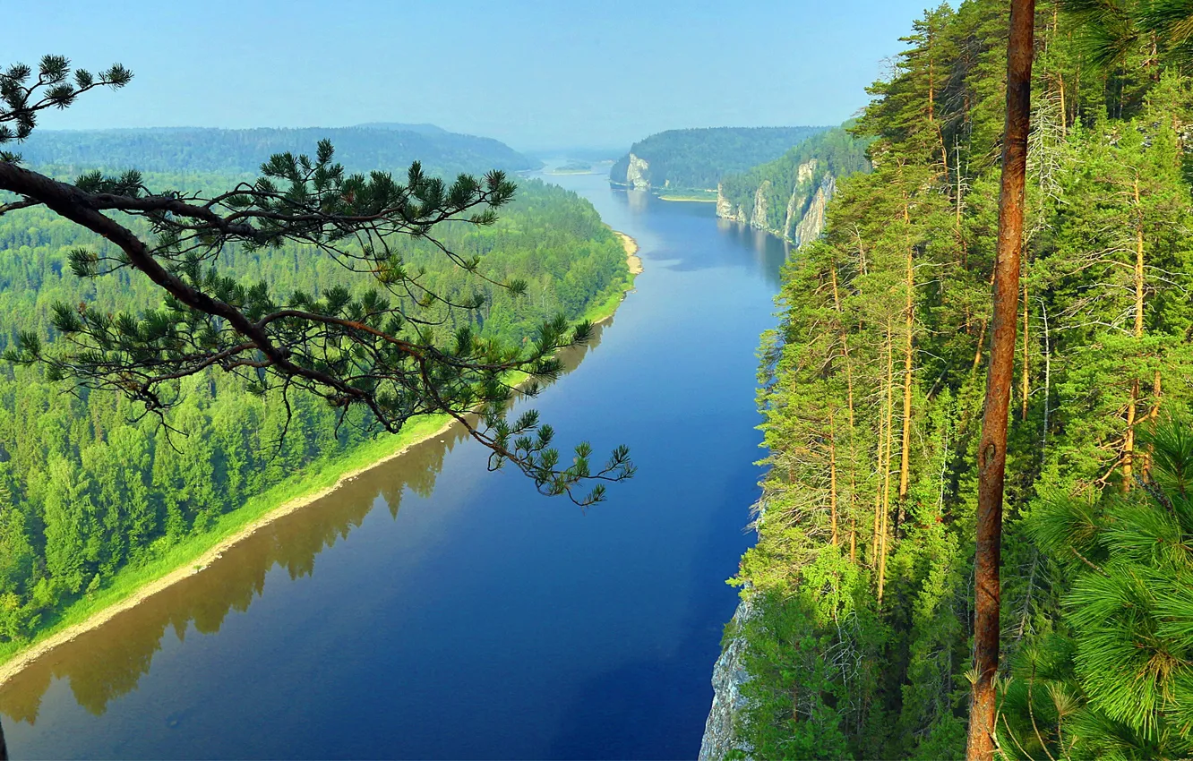 Фото обои река, тайга, красивая природа