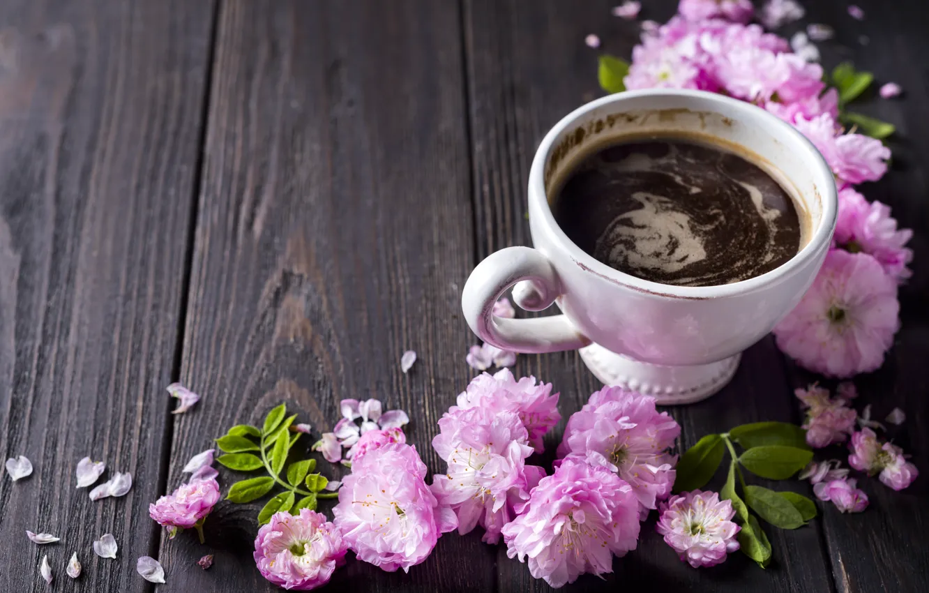 Фото обои цветы, розовые, wood, pink, blossom, flowers, coffee cup, чашка кофе