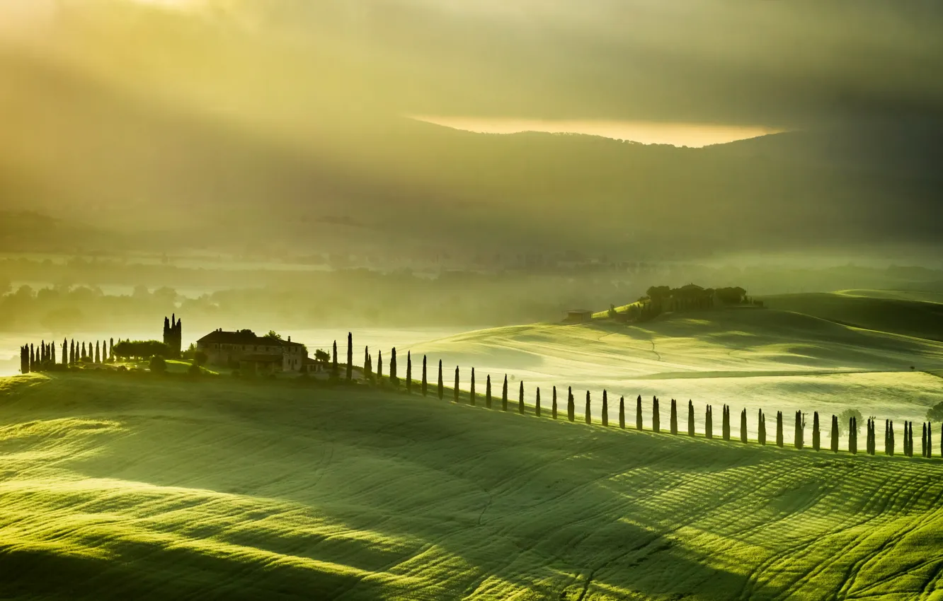 Фото обои поле, пейзаж, туман, Italy, Tuscany