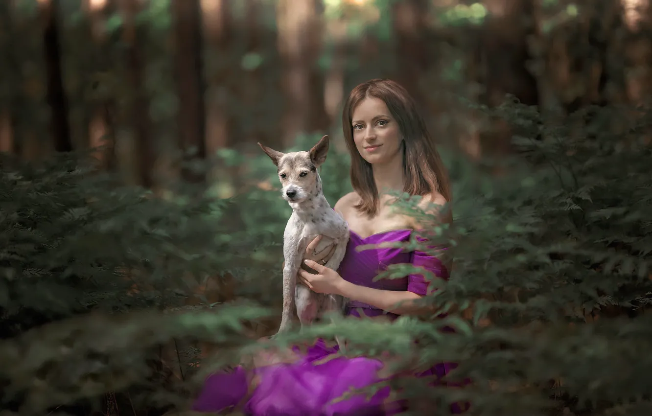 Фото обои лес, девушка, собака