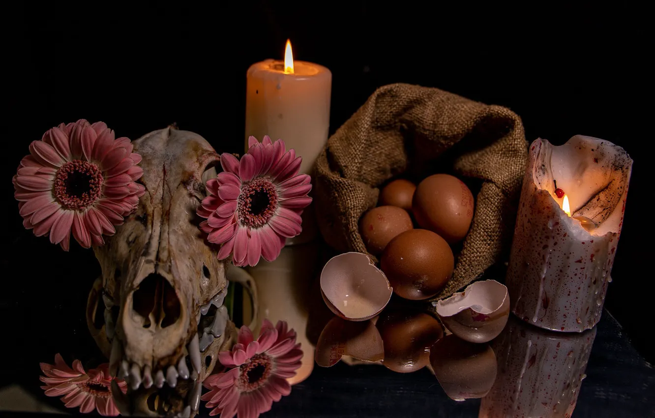 Фото обои цветы, отражение, темный фон, пламя, череп, яйца, зубы, свечи